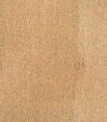 Фурнир Явор американски 