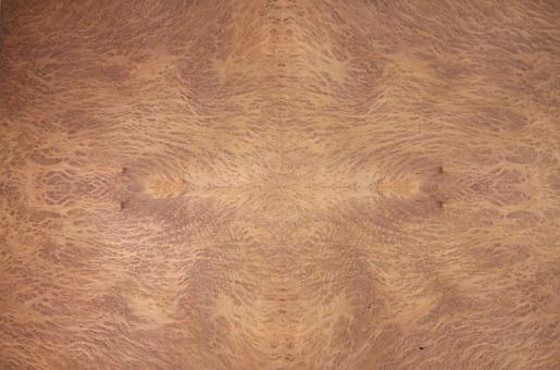 Фурнир Секвоя Burl 